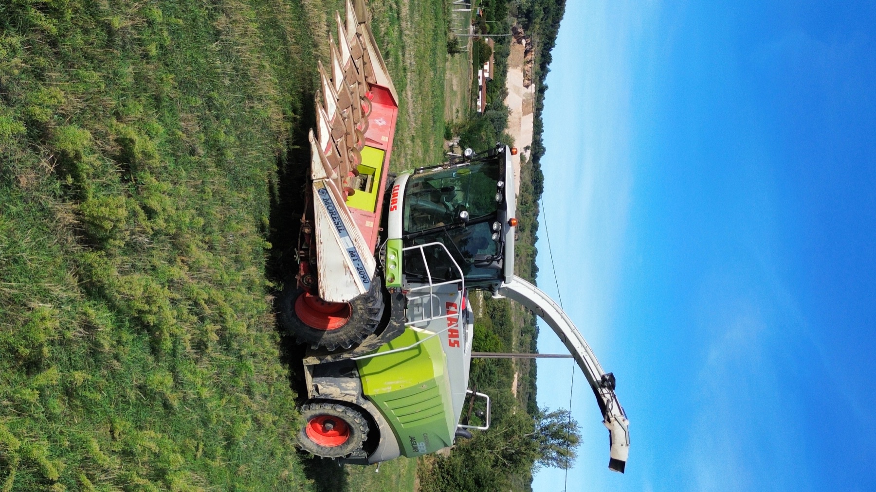 Ensileuse Claas équipée d’un bec à maïs dans une parcelle